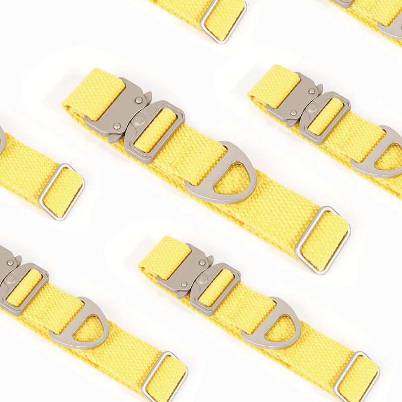ปลอกคอสุนัขแบบปรับแต่งได้ - สล - Outdoor Adventure Vector บทวิจารณ์และราคา